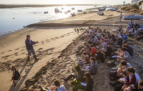 Experiential learning - Richard Thompson teaching second year marine biology students on the beach