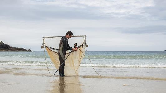 Dr Benjamin Ciotti explores the dynamic environment of surf zone ecosystems and the research investigating the role of sandy beaches as habitats for fishes.