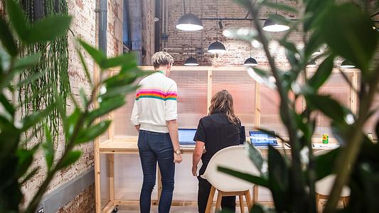 Students working in knowledge exchange with the Bridge.