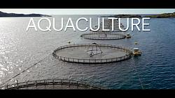 Aquaculture