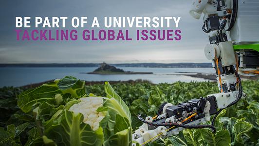 SDG12 food production. Robot arm with a cauliflower