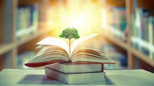 Open book with  tree and light growing out.