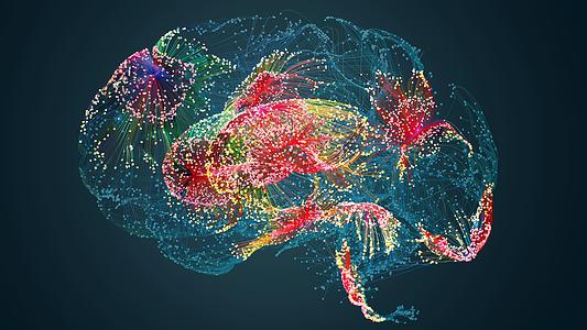 Brain illustration showing neuron connections