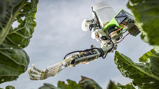 Fieldwork robotics harvesting robot