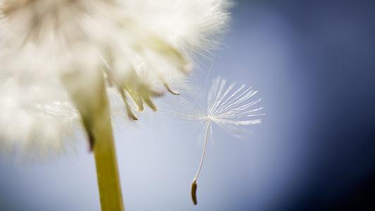 Courtesy of Shutterstock