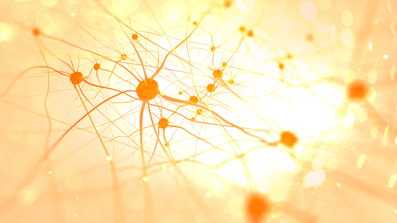 Neurons stock image