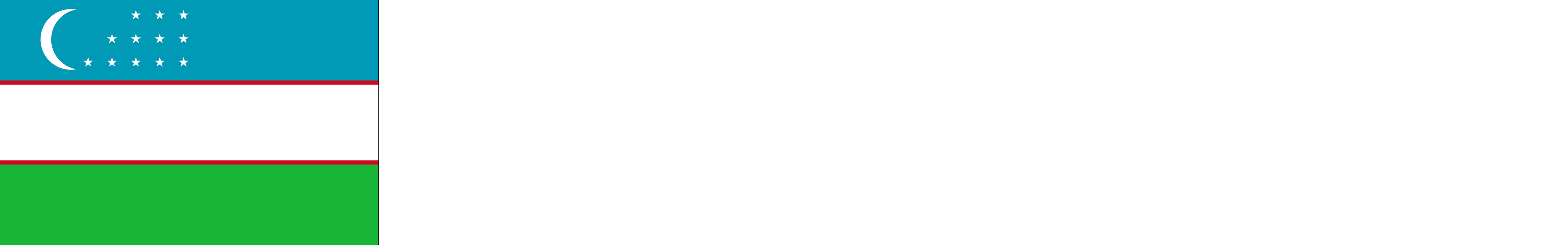 Uzbekistan flag (with extra space for country guide page)