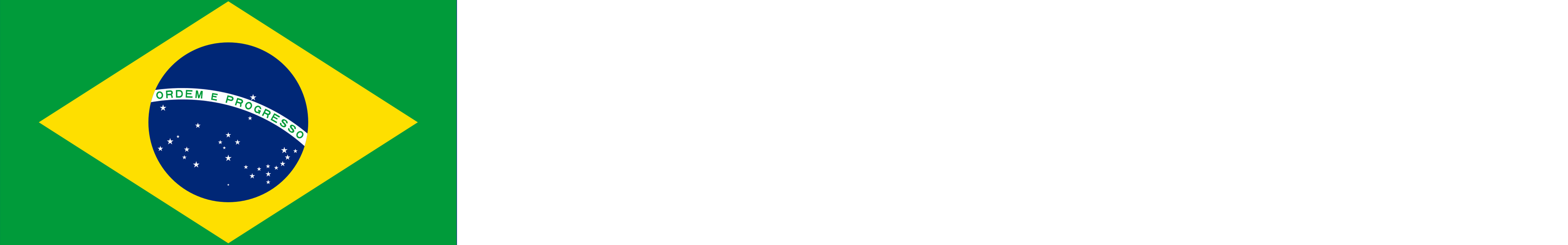 Brazil flag